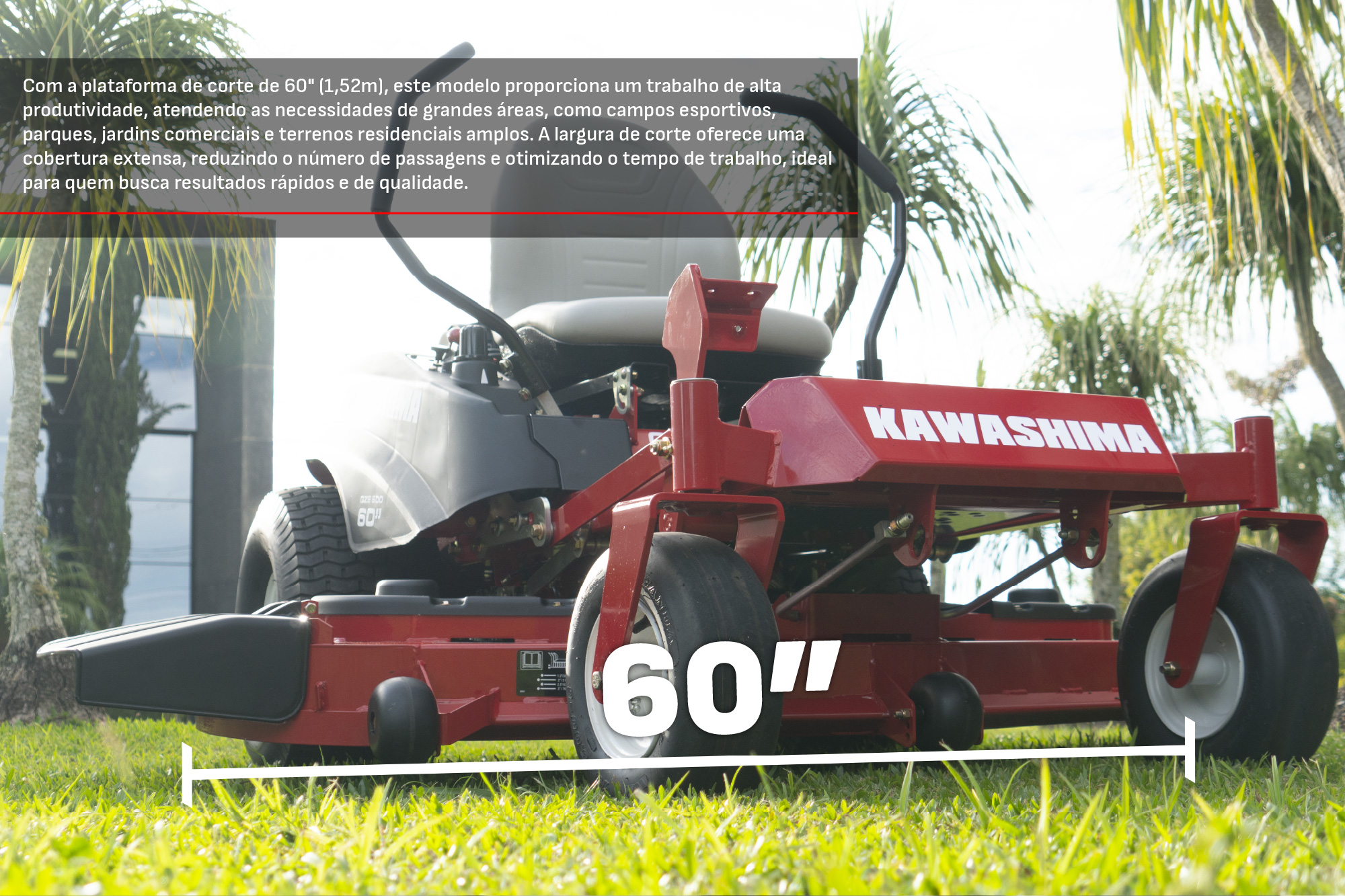 CCM do Brasil - Cód. 5649700